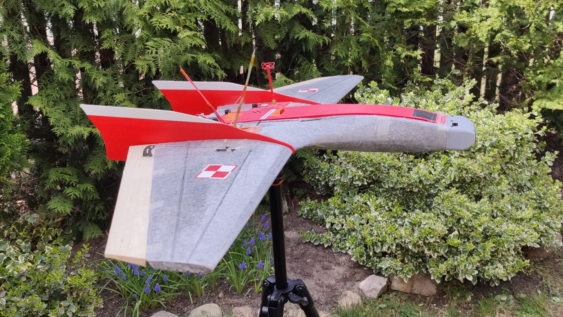 Ritewing Mini Drak Airplane